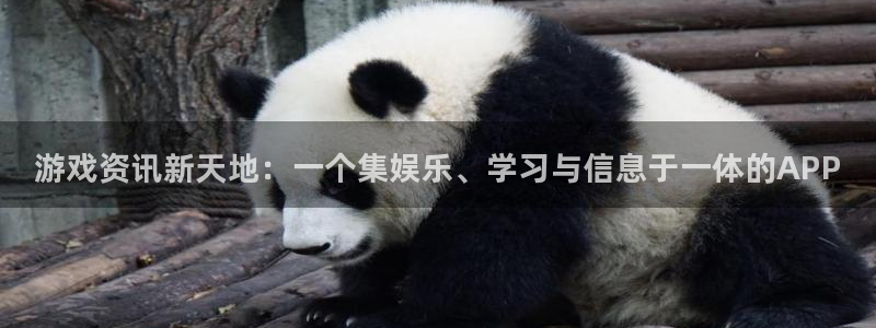 杜邦娱乐平台注册开户：游戏资讯新天地：一个集娱乐、学习与信息