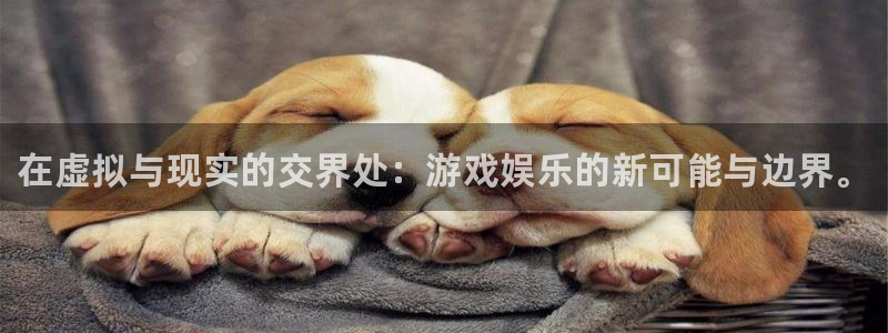 杜邦娱乐主管：在虚拟与现实的交界处：游戏娱乐的新可能与边界。