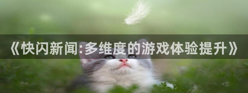 手机杜邦娱乐下载安装：《快闪新闻:多维度的游戏体验提升》