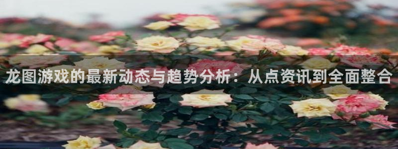 杜邦娱乐Ii：龙图游戏的最新动态与趋势分析：从点资讯到全面整