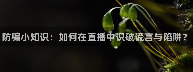 杜邦娱乐平台：防骗小知识：如何在直播中识破谎言与陷阱？
