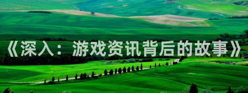 杜邦娱乐娱乐：《深入：游戏资讯背后的故事》