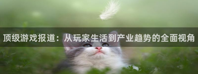 杜邦娱乐登录网址：顶级游戏报道：从玩家生活到产业趋势的全面视
