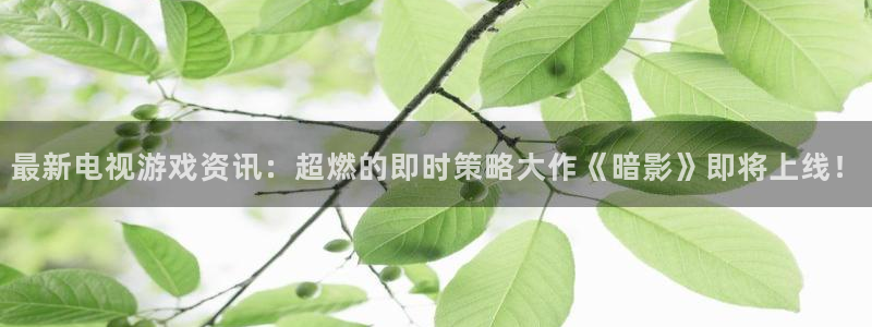杜邦娱乐平台登录入口：最新电视游戏资讯：超燃的即时策略大作《