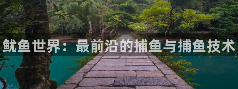 杜邦娱乐平台登录线路：鱿鱼世界：最前沿的捕鱼与捕鱼技术