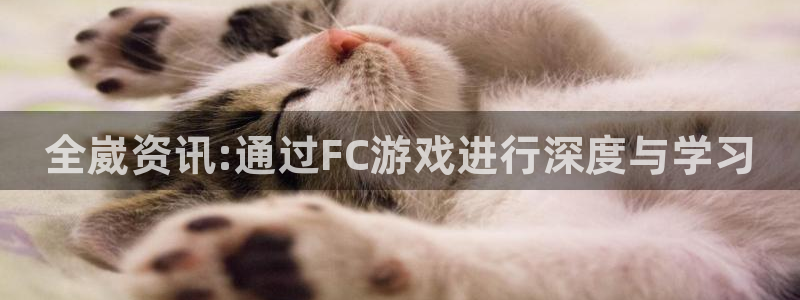 杜邦娱乐手机网页版登录：全崴资讯:通过FC游戏进行深度与学习