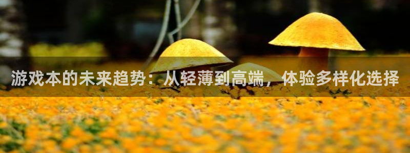 杜邦娱乐注册登录：游戏本的未来趋势：从轻薄到高端，体验多样化